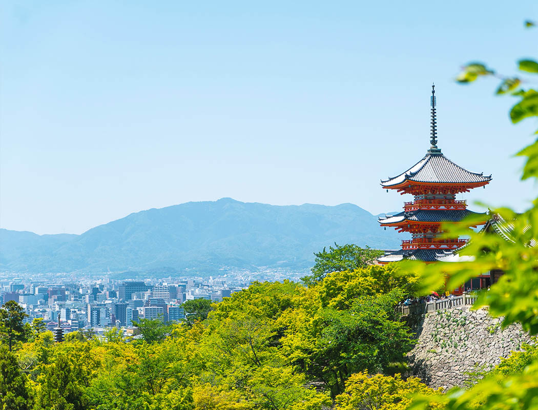 ベートーヴェン運転代行